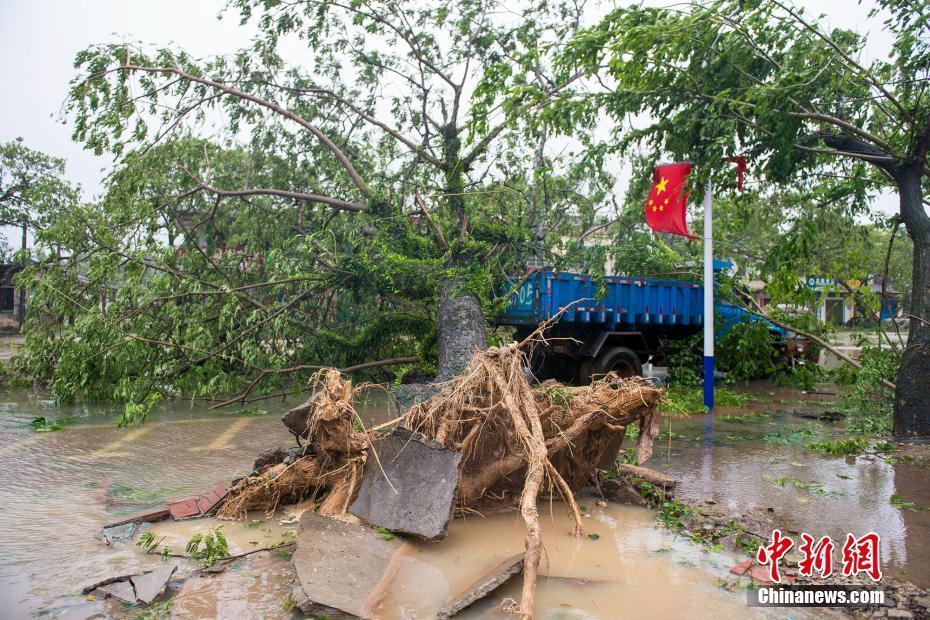 臺風“莎莉嘉”登陸海南