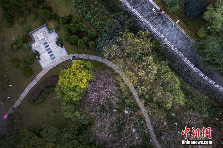 南京大屠殺叢葬地紀(jì)念碑“無(wú)聲”控訴日軍罪行