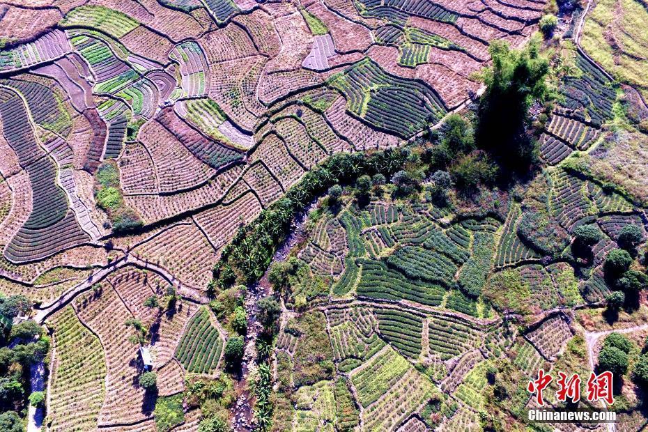 空中鳥瞰福建安溪縣 美麗僑鄉(xiāng)中國茶都