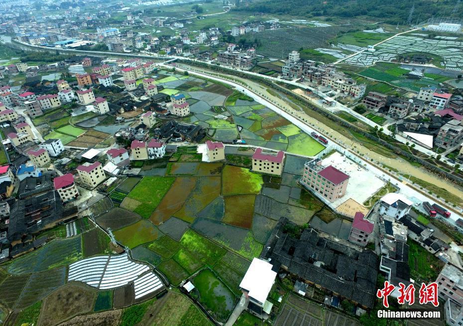 鳥瞰福建新羅美麗新農(nóng)村 洋樓田地錯落有致