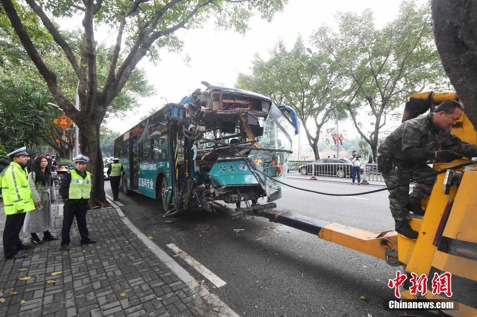 福州一公交車撞上榕樹(shù) 車頭受損嚴(yán)重