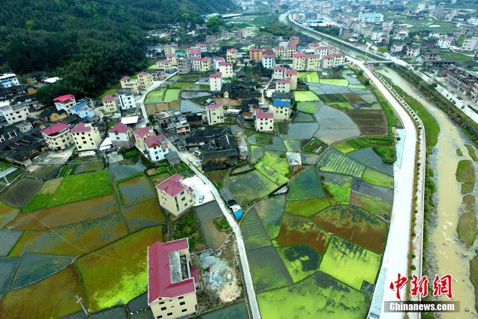 鳥瞰福建新羅美麗新農(nóng)村 洋樓田地錯落有致