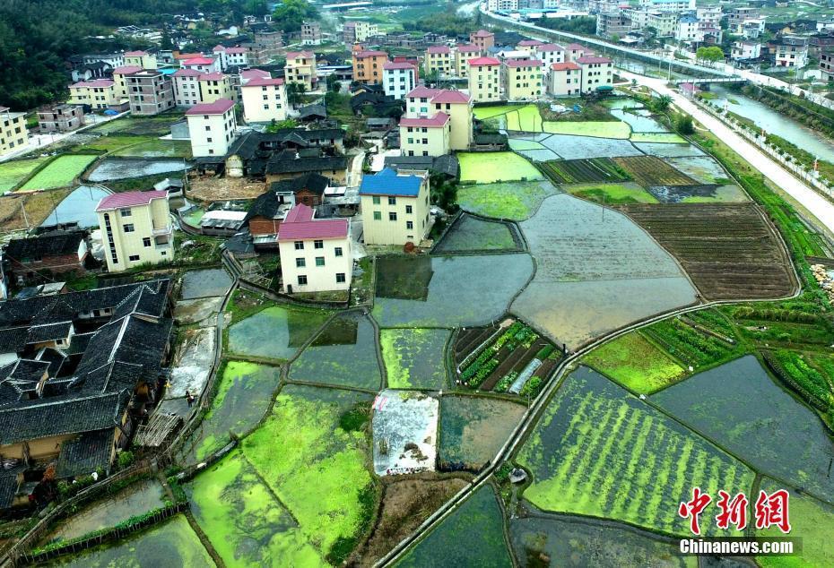 鳥(niǎo)瞰福建新羅美麗新農(nóng)村 洋樓田地錯(cuò)落有致