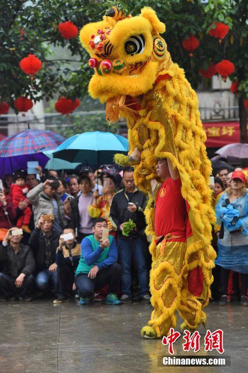 中越唄儂國際儂垌節(jié)開幕