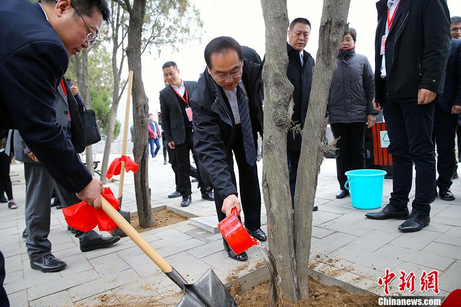 海外僑胞港澳同胞延安寶塔山上共植樹(shù)