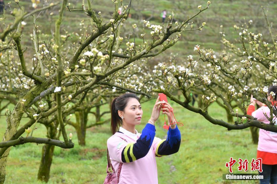 福建建寧“花海跑” 跑友花間享春光