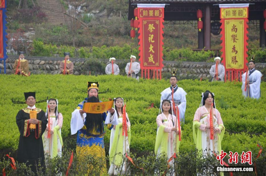 四川千畝茶種園“打茶”祈福 傳承藏茶種植文化