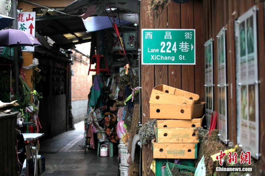 探訪臺北百年青草巷