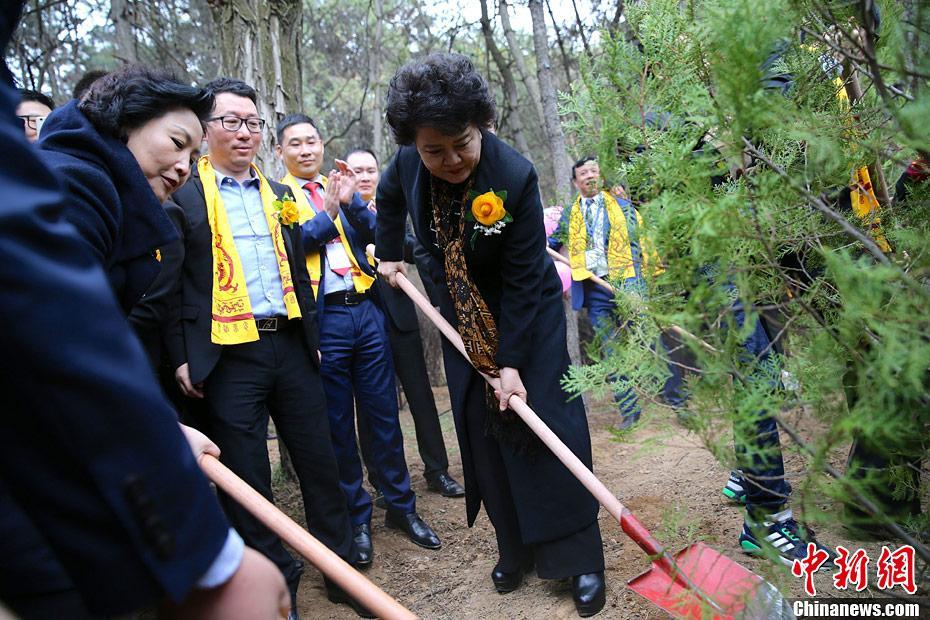 “僑胞林”紀(jì)念植樹啟動儀式于橋山舉行