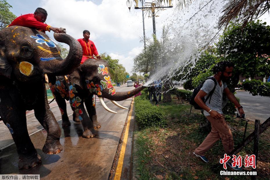 泰國開啟潑水節(jié)狂歡 大象噴水游客“遭殃”