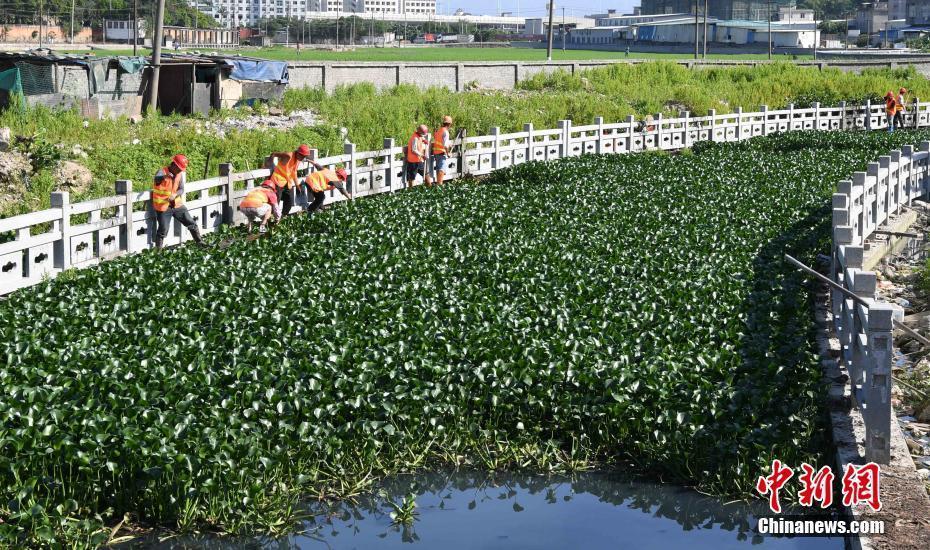 福州引用海綿城市的建設(shè)理念整治黑臭水體