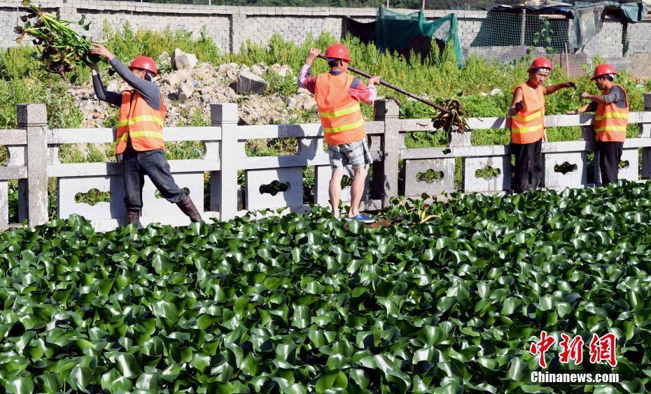 福州引用海綿城市的建設(shè)理念整治黑臭水體