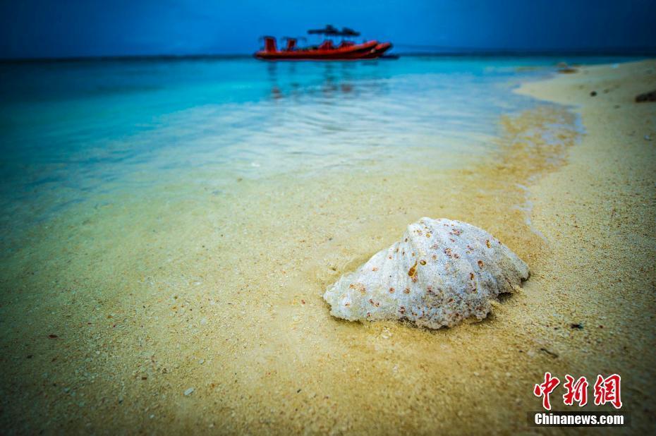 三沙的那片海