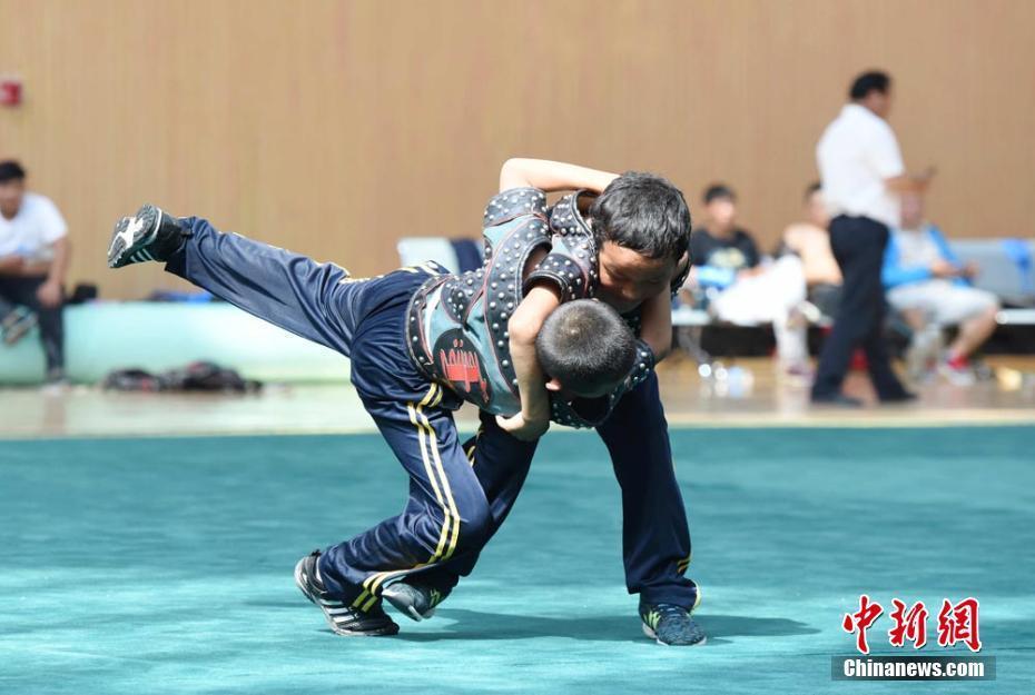 甘肅民族縣盛夏上演激情搏克賽