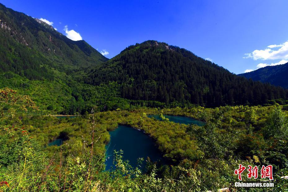 地震后的九寨溝樹正群海依然美麗