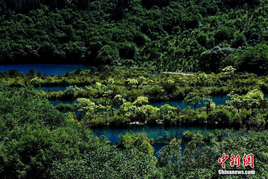 地震后的九寨溝樹正群海依然美麗