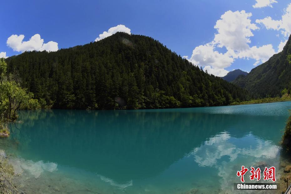 地震后的九寨溝樹正群海依然美麗