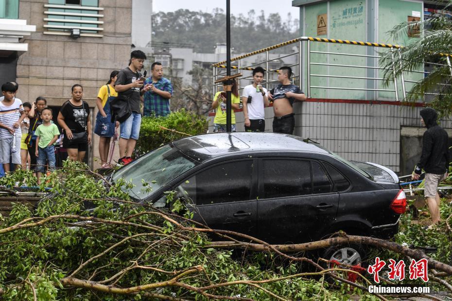 強臺風(fēng)“天鴿”攜狂風(fēng)暴雨登陸珠海