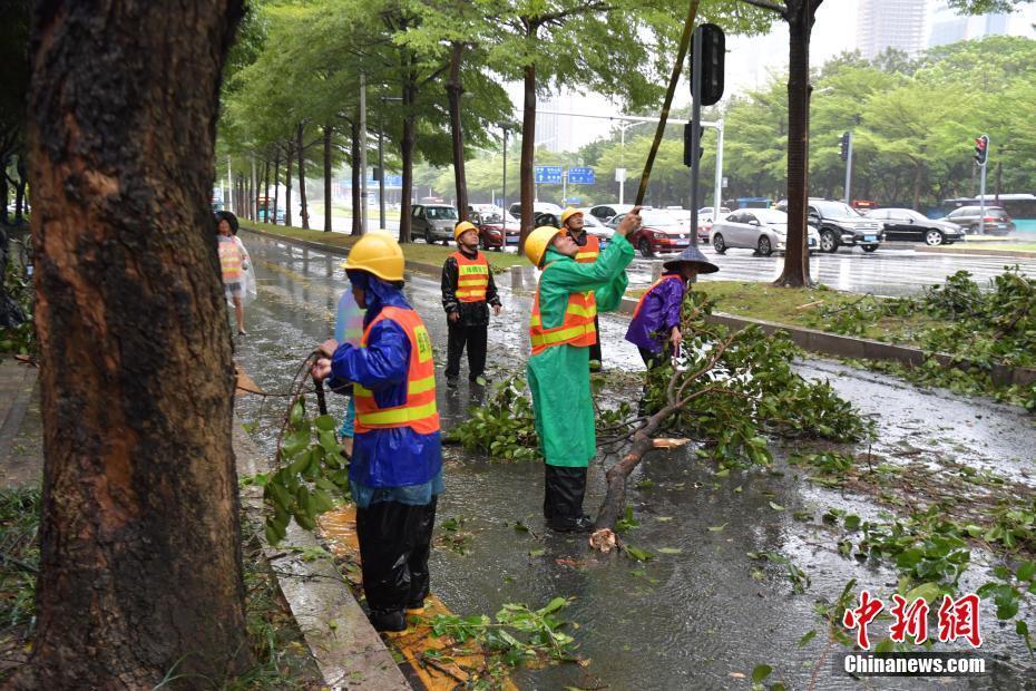 臺(tái)風(fēng)“天鴿”襲深圳 樹枝折斷公交車遇阻