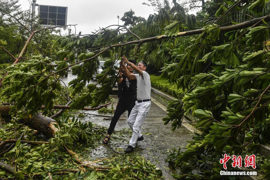 強(qiáng)臺(tái)風(fēng)“天鴿”攜狂風(fēng)暴雨登陸珠海