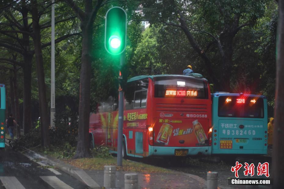 臺風(fēng)“天鴿”襲深圳 樹枝折斷公交車遇阻