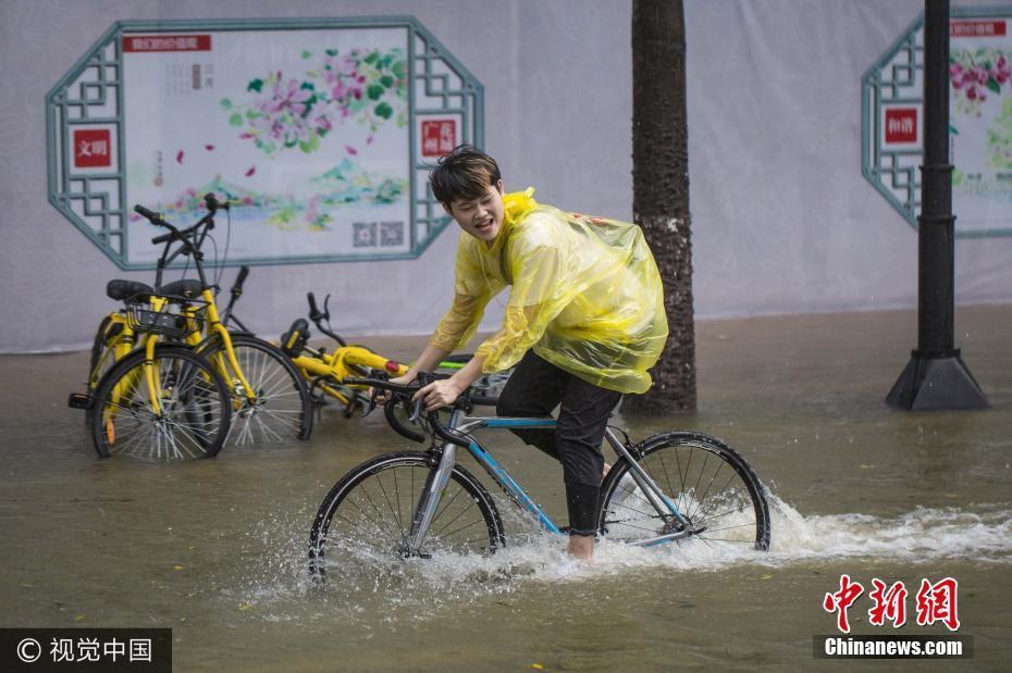 臺風(fēng)來襲珠江水倒灌 市民街頭嬉戲撈魚樂趣十足