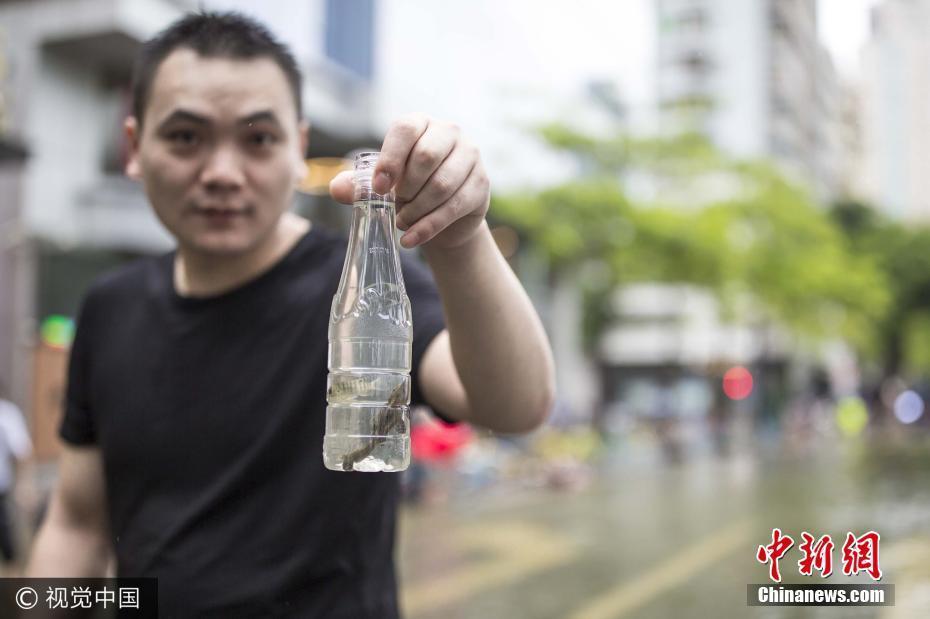 臺風(fēng)來襲珠江水倒灌 市民街頭嬉戲撈魚樂趣十足