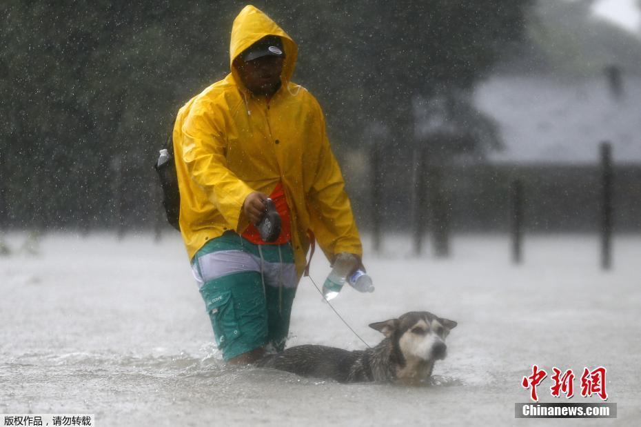 美國得州遭颶風(fēng)襲擊洪水泛濫 民眾災(zāi)中守護(hù)愛寵