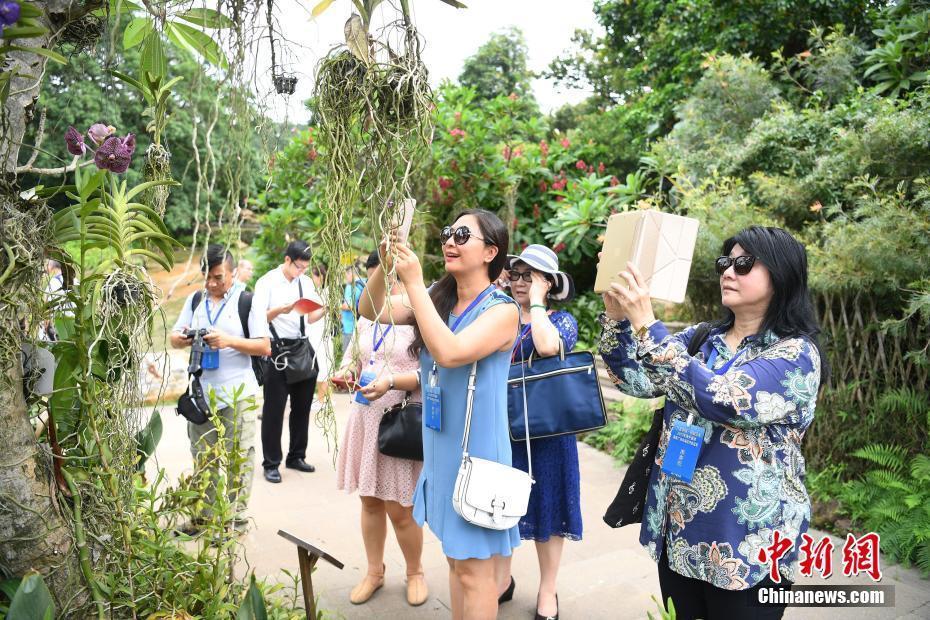 海外華文媒體感知廣西南寧千年變遷史