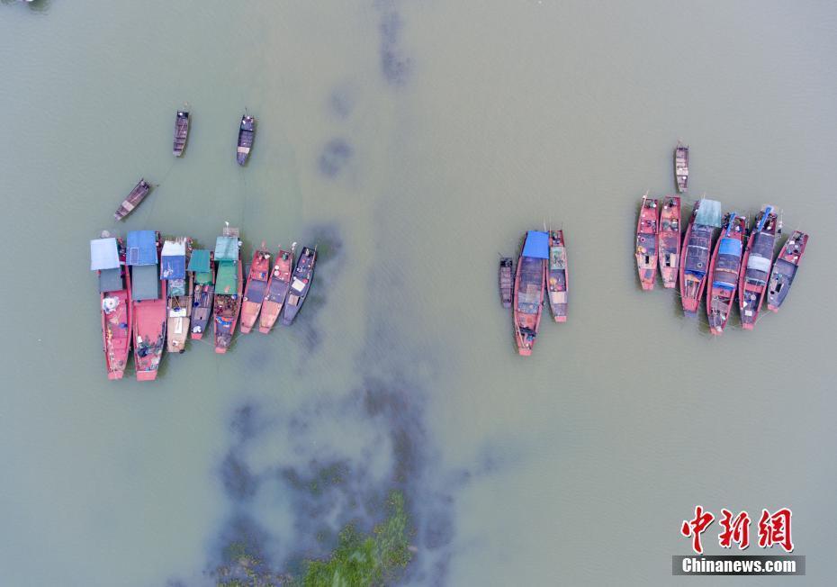 上游來(lái)水增多 中國(guó)最大淡水湖鄱陽(yáng)湖水面增加