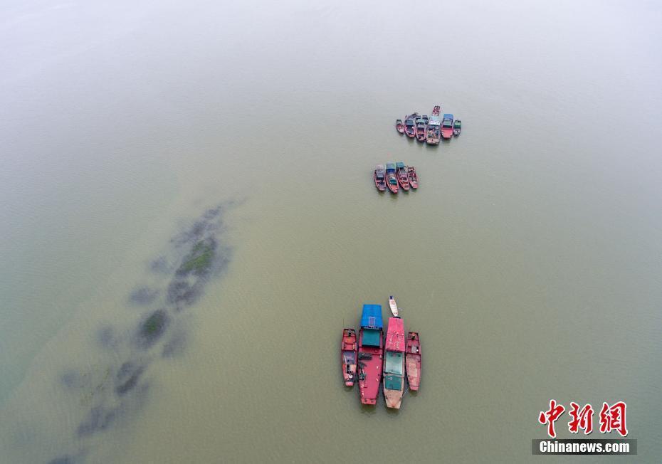 上游來(lái)水增多 中國(guó)最大淡水湖鄱陽(yáng)湖水面增加