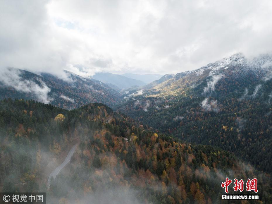 航拍土耳其博盧省秋日風(fēng)光 金黃翠綠鋪滿山巒