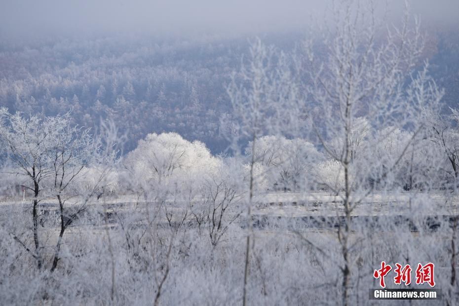 中俄界江兩岸呈現(xiàn)霧凇美景