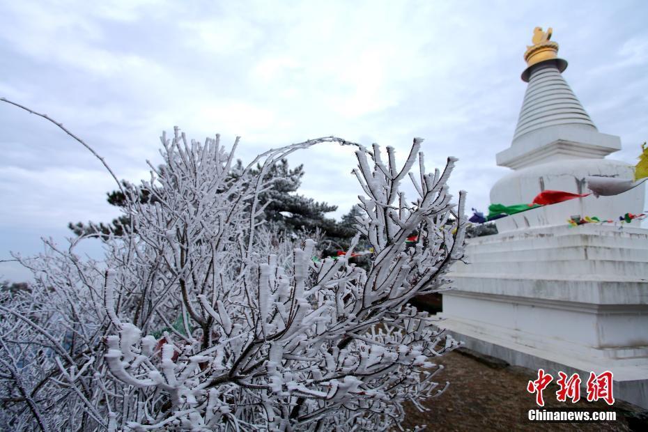 寒潮來(lái)襲 江西廬山現(xiàn)絕美霧凇景觀