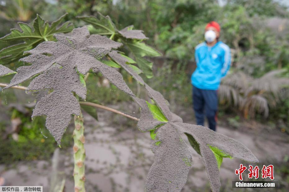 印尼阿貢火山警戒級(jí)別調(diào)至最高 兩萬(wàn)余人撤離