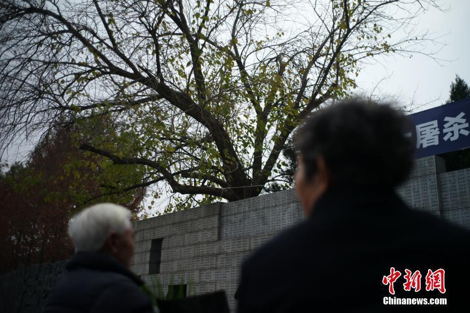 南京大屠殺死難者家庭祭告 緬懷先人祭奠亡靈