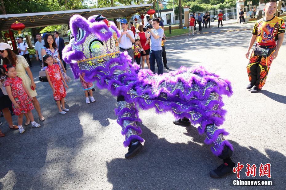 中國駐澳大利亞大使館舉辦“中國日”活動