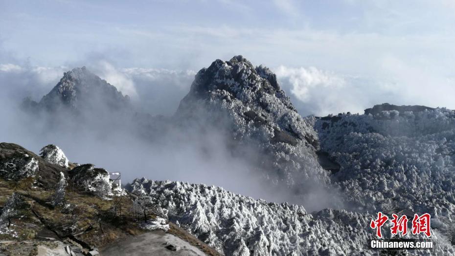 安徽黃山山腳紅梅綻放 山頂白雪皚皚