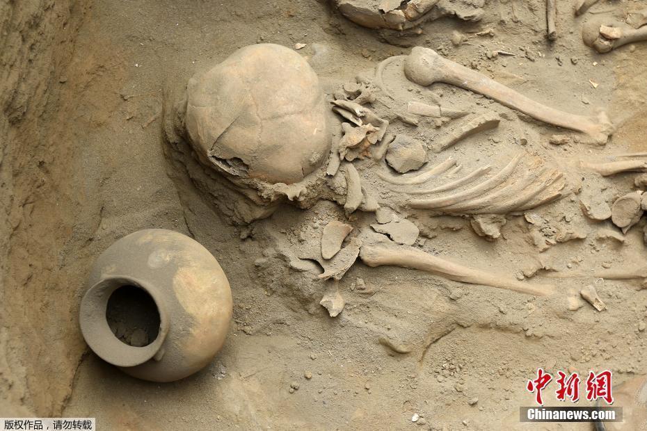 秘魯海濱小鎮(zhèn)發(fā)現(xiàn)1500年前人類遺跡 出土大量陶器