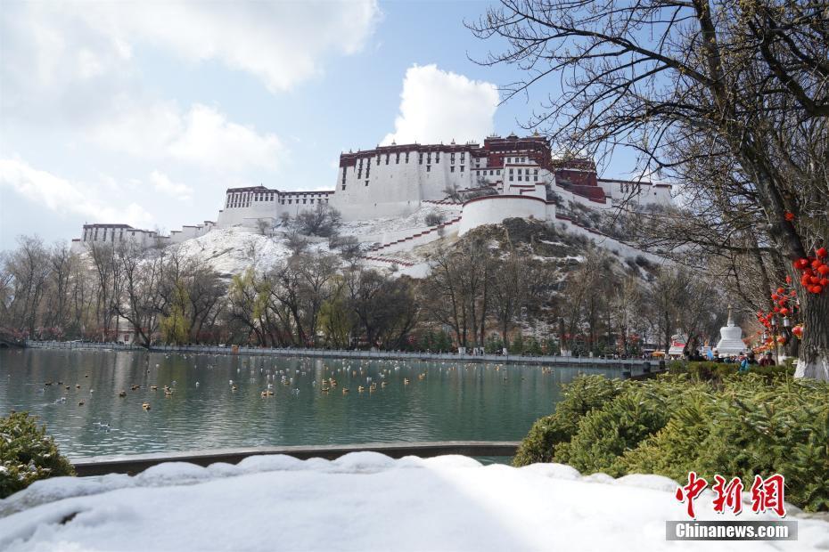 古城拉薩再降春雪 全城銀裝素裹