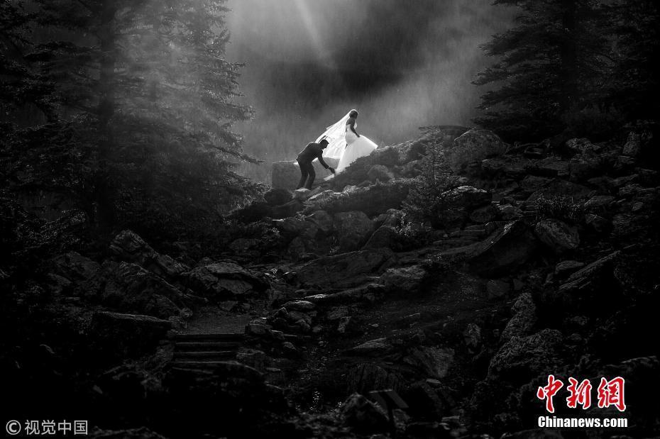國際婚禮攝影師大賽2017年度獲獎作品精選