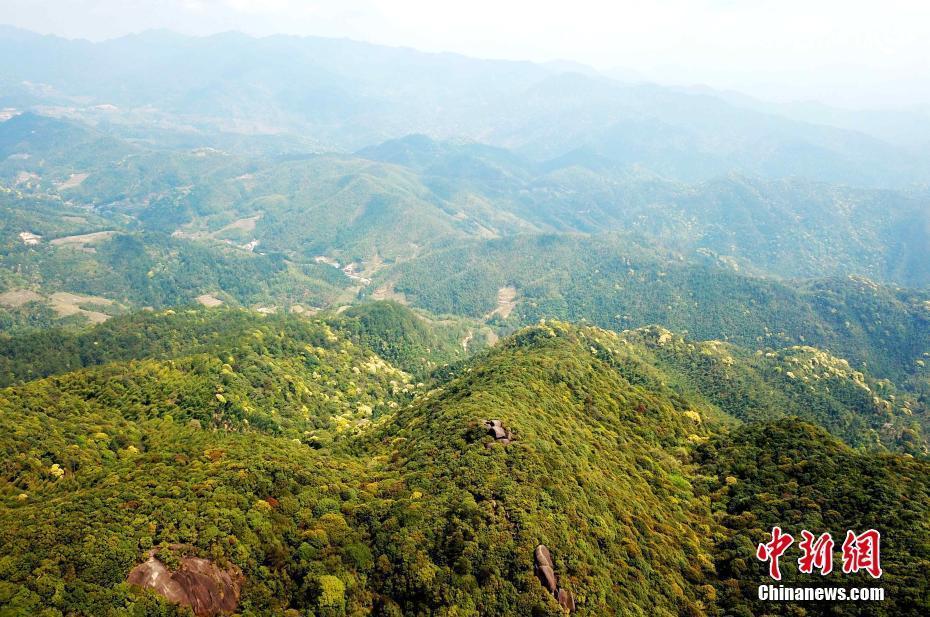 探訪“八閩母親山”——梅花山