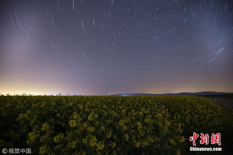 郁金香花田與星空為伴如夢似幻