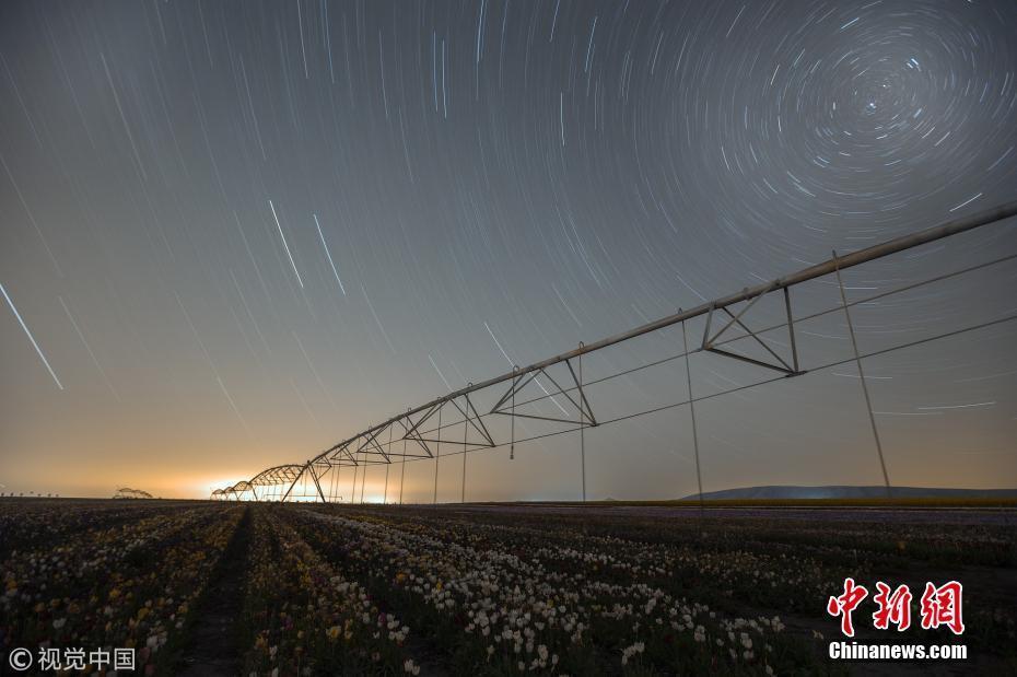 郁金香花田與星空為伴如夢(mèng)似幻