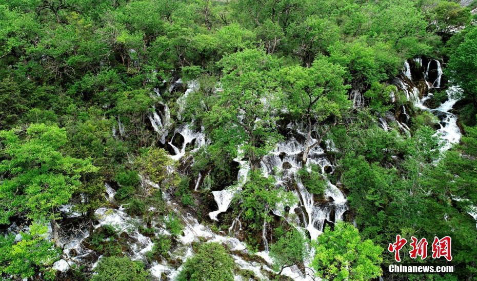 走進(jìn)初夏的九寨溝光彩依舊