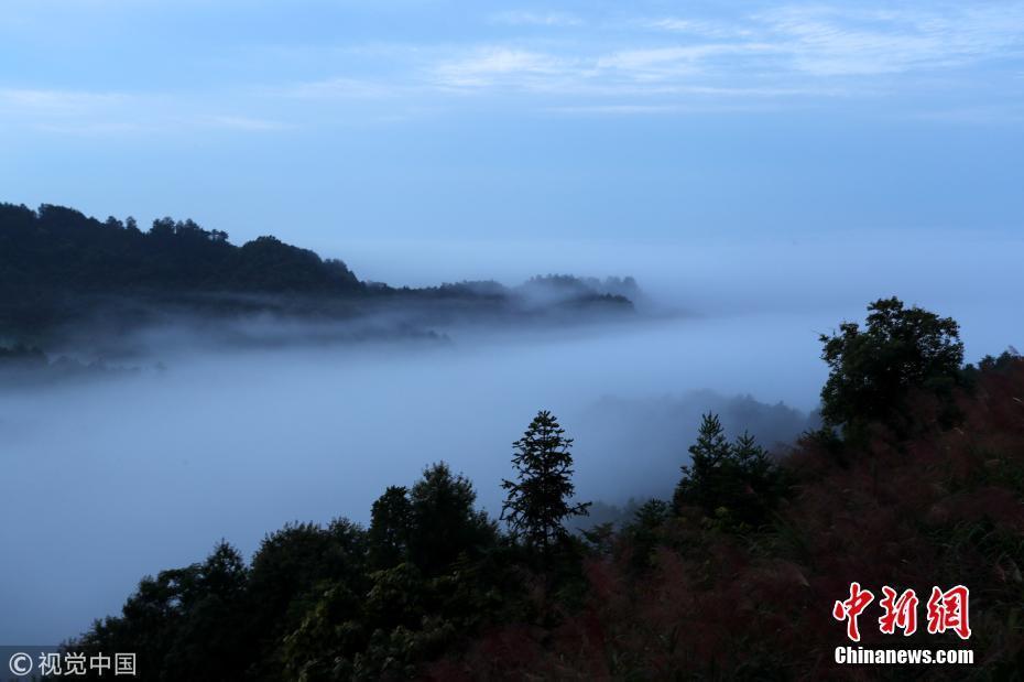 安徽黃山雨后初霽齊云山 云海翻騰如仙境