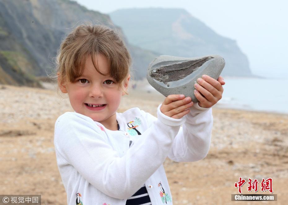 英国女孩海边玩耍意外捡到1.9亿年前化石