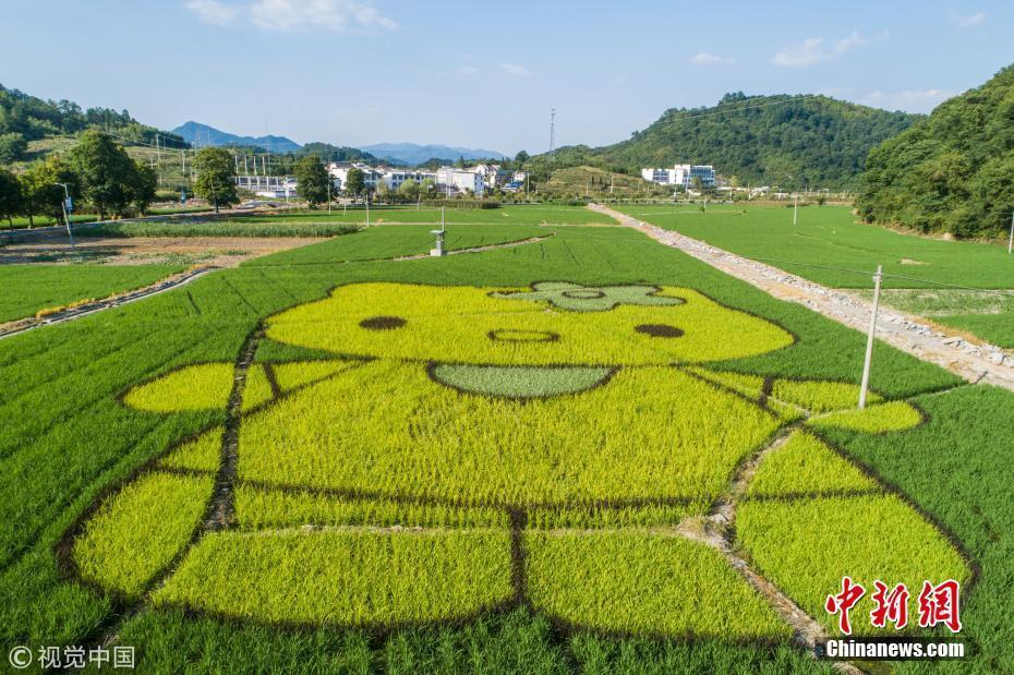 巧手農(nóng)民創(chuàng)意多 稻田種出HelloKitty和小豬佩奇