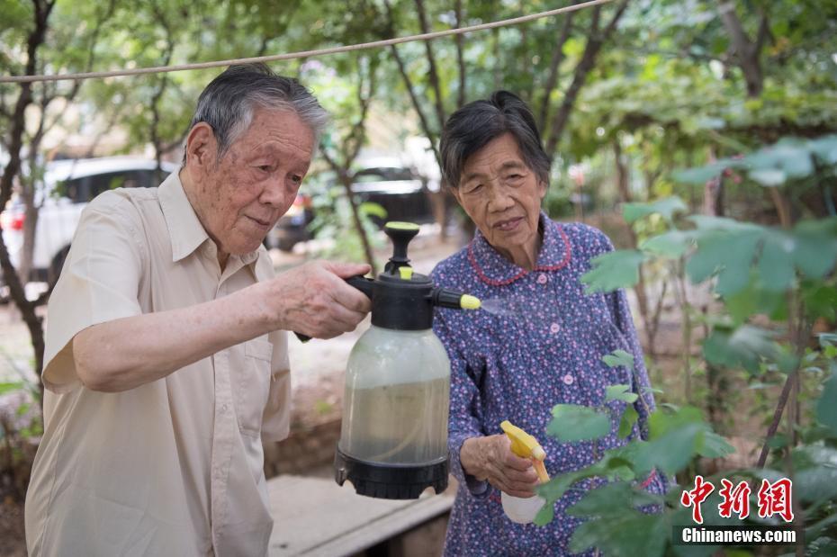 九旬夫妻抗戰(zhàn)結(jié)伉儷無手續(xù) 結(jié)伴75年渴望結(jié)婚證