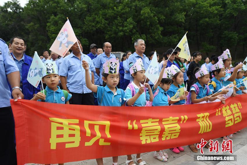 中國首次在北方高緯度地區(qū)飼養(yǎng)的大熊貓重返四川